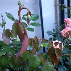 120位のイメージ