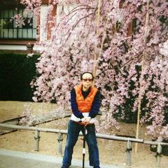 113位のイメージ