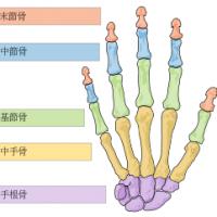 16位のイメージ