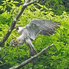 131位のイメージ