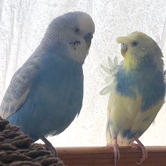 102位のイメージ