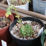 21位のイメージ