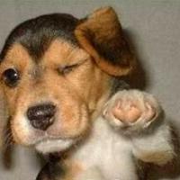 114位のイメージ