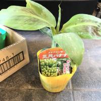 11位のイメージ