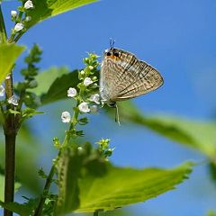 28276位のイメージ