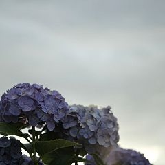 110位のイメージ