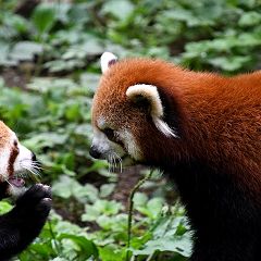 10位のイメージ