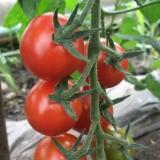 89位のイメージ