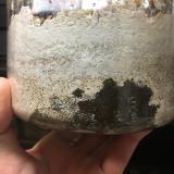 62位のイメージ