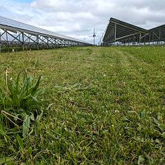 28位のイメージ