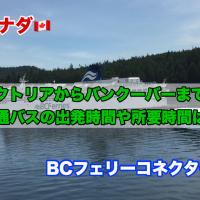 14位のイメージ