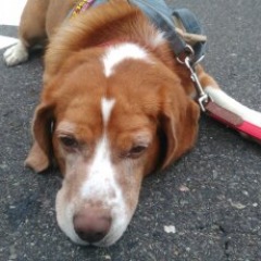 112位のイメージ