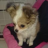 30位のイメージ