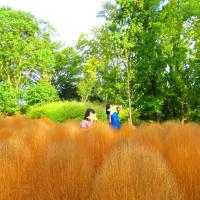 12位のイメージ