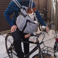 1705位のイメージ