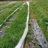 89位のイメージ