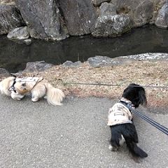 38位のイメージ