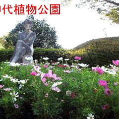 137位のイメージ