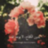 26位のイメージ