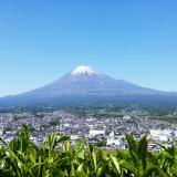 88位のイメージ