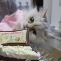 91位のイメージ