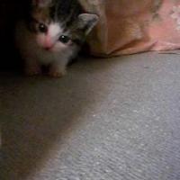 19位のイメージ