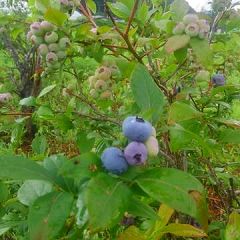 20位のイメージ