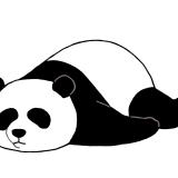 24位のイメージ