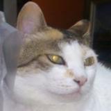 19位のイメージ