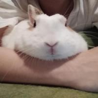 13位のイメージ