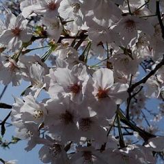 63位のイメージ