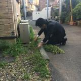 694位のイメージ