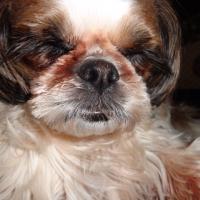 51位のイメージ