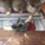 30位のイメージ