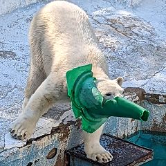 60位のイメージ