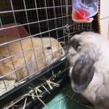 38位のイメージ