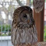 41位のイメージ