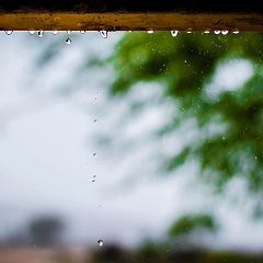 1187位のイメージ