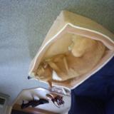 720位のイメージ