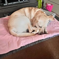 15位のイメージ