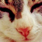 22位のイメージ