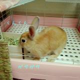 20位のイメージ