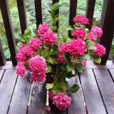 15位のイメージ