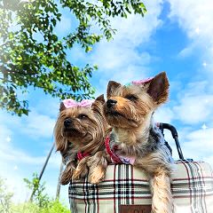 30位のイメージ