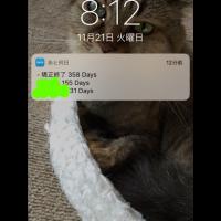 11位のイメージ