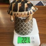 10位のイメージ