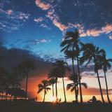 142位のイメージ