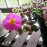 79位のイメージ