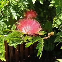 23位のイメージ