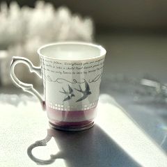 17位のイメージ